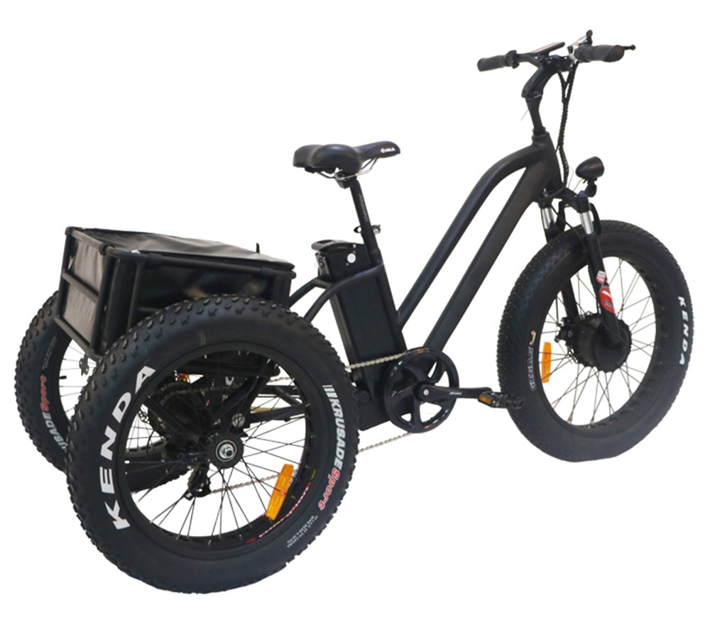 Adult 3 Wheel Tuk Tuk Electric Bicycle