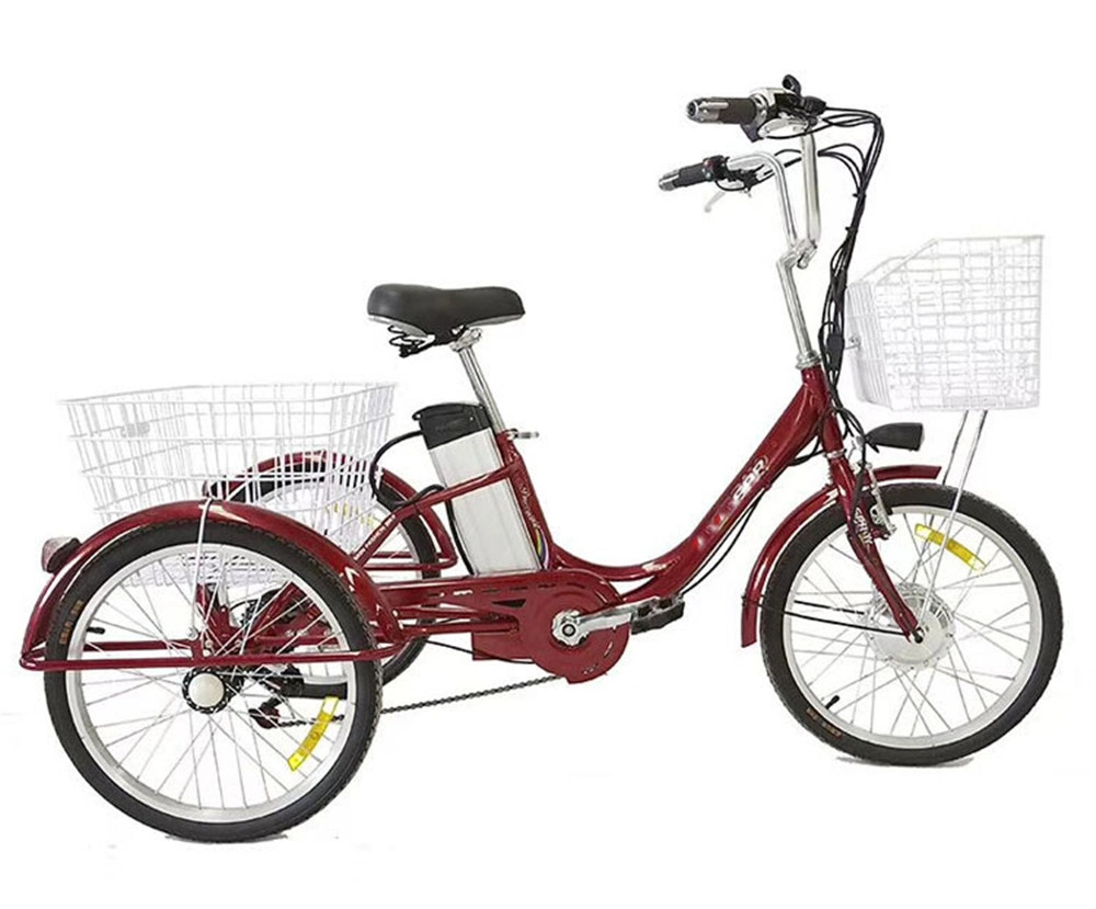 Adult 3 Wheel Tuk Tuk Electric Bicycle