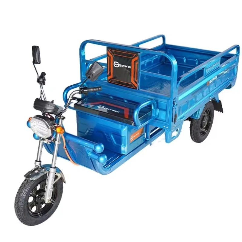 Tricycle Differential Motor Electric Tricycle Three Wheeler Cargo 1200W EEC Cargo Bike