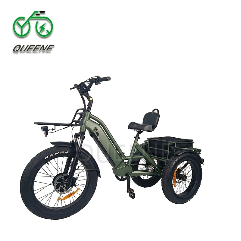 Wholesale 750W/500W 3 Wheel Cargo Chainless Electric Tricycle Fat Tire Electric Bike for Adults