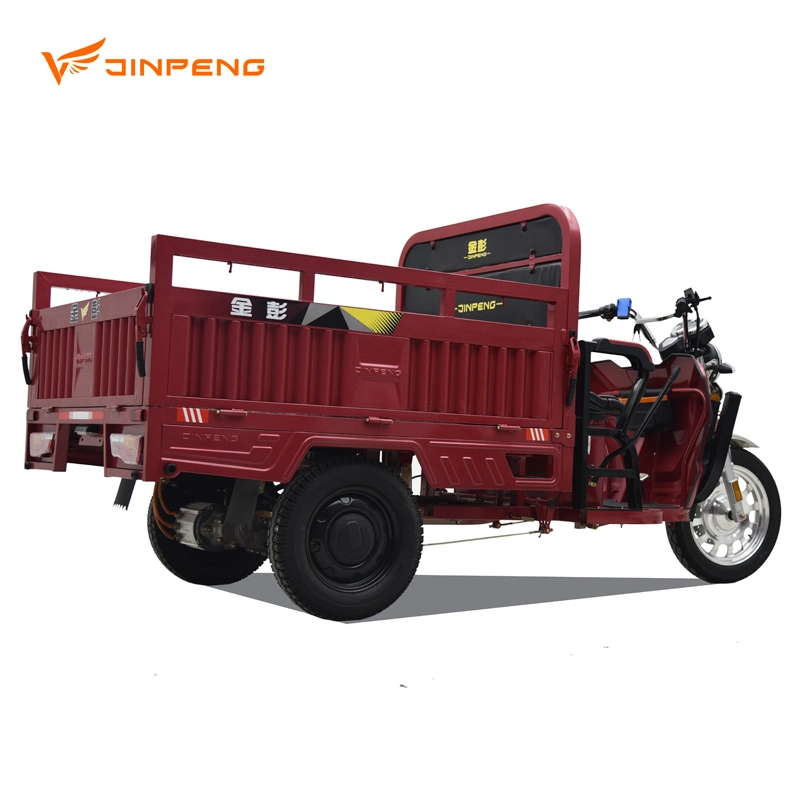 Best Sell Cargo Loading Adult Electric Tricycle with High Speed