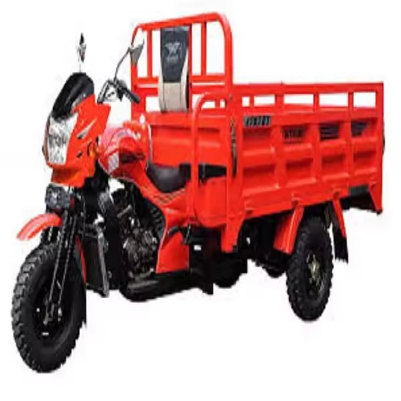 Tricycle Differential Motor Electric Tricycle Three Wheeler Cargo 1200W EEC Cargo Bike