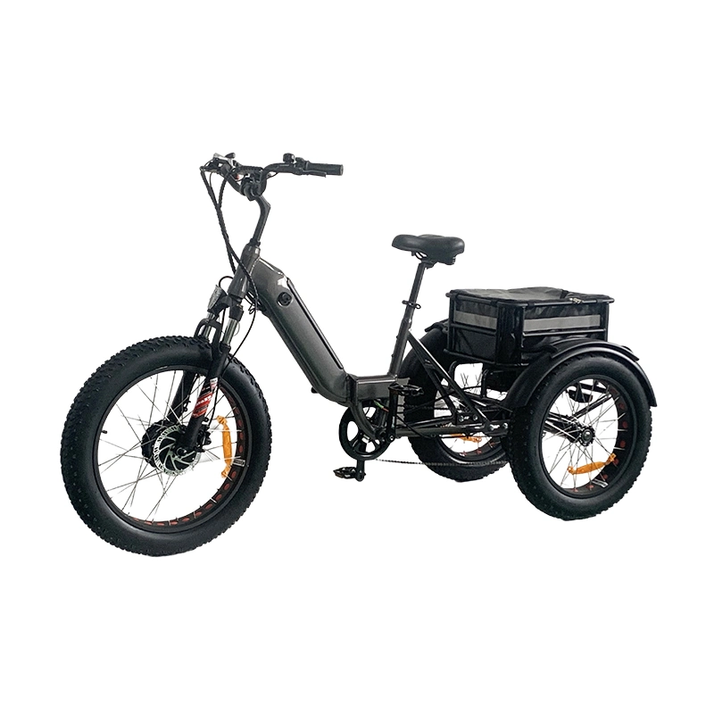 Bafang Motor for Passengers Fat Tire 4.0 Three Wheels Scooters 3 Wheel Passenger Adult 750W Electric Tricycles