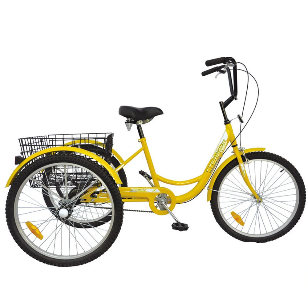 Front Basket Women Ebike Engine Adult Tricycle Ebay Equipment for Big and Disabled People