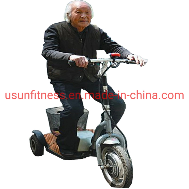 Black Color Electric Bike with 3 Wheels