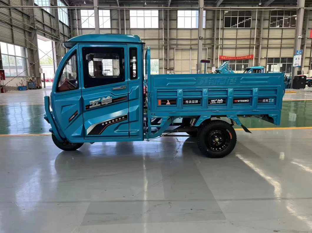 Hydraulic Lift/Cargo Tricycle/Rickshaw/for Sale 3wheels Car/New Electric Tricycle/Best Tuktuk Thailand/Auto Tricycle/Motorcycle