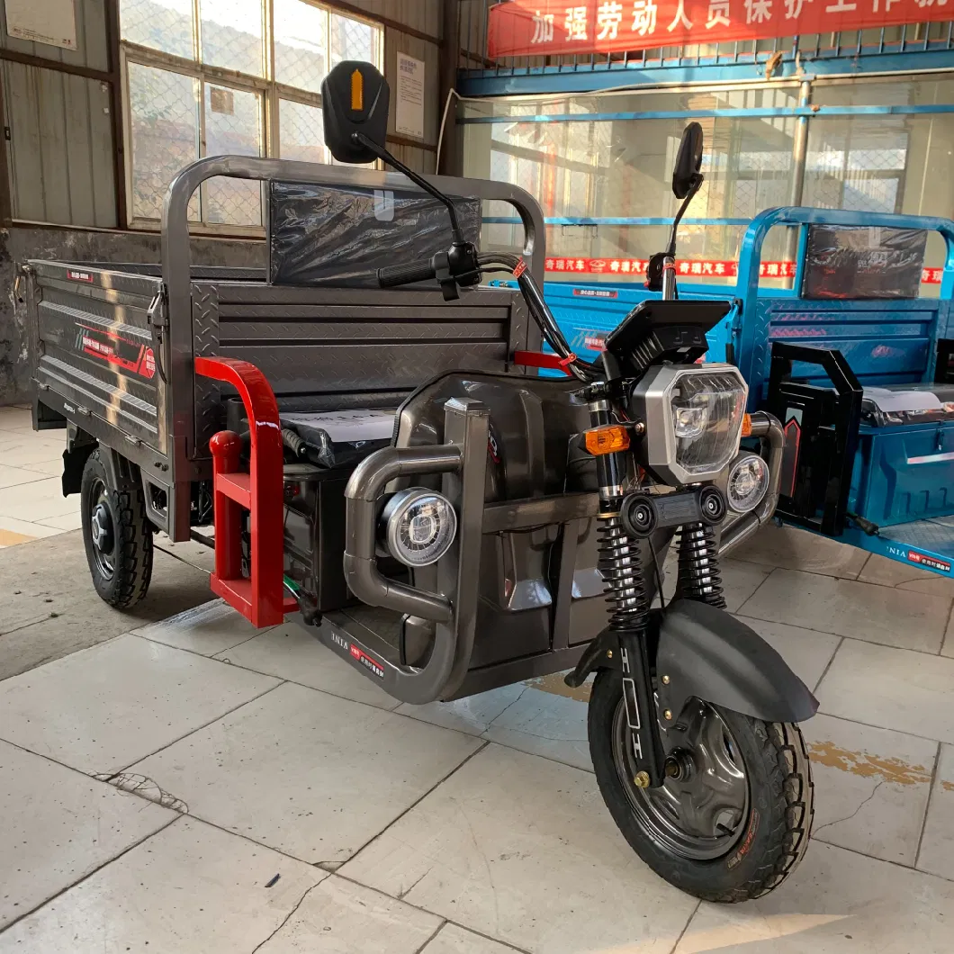 2024 Electric Tricycle Cargo Delivery Bicycle Electric Trikes for Adult Tricycle Cargo Etrikes Warehouse