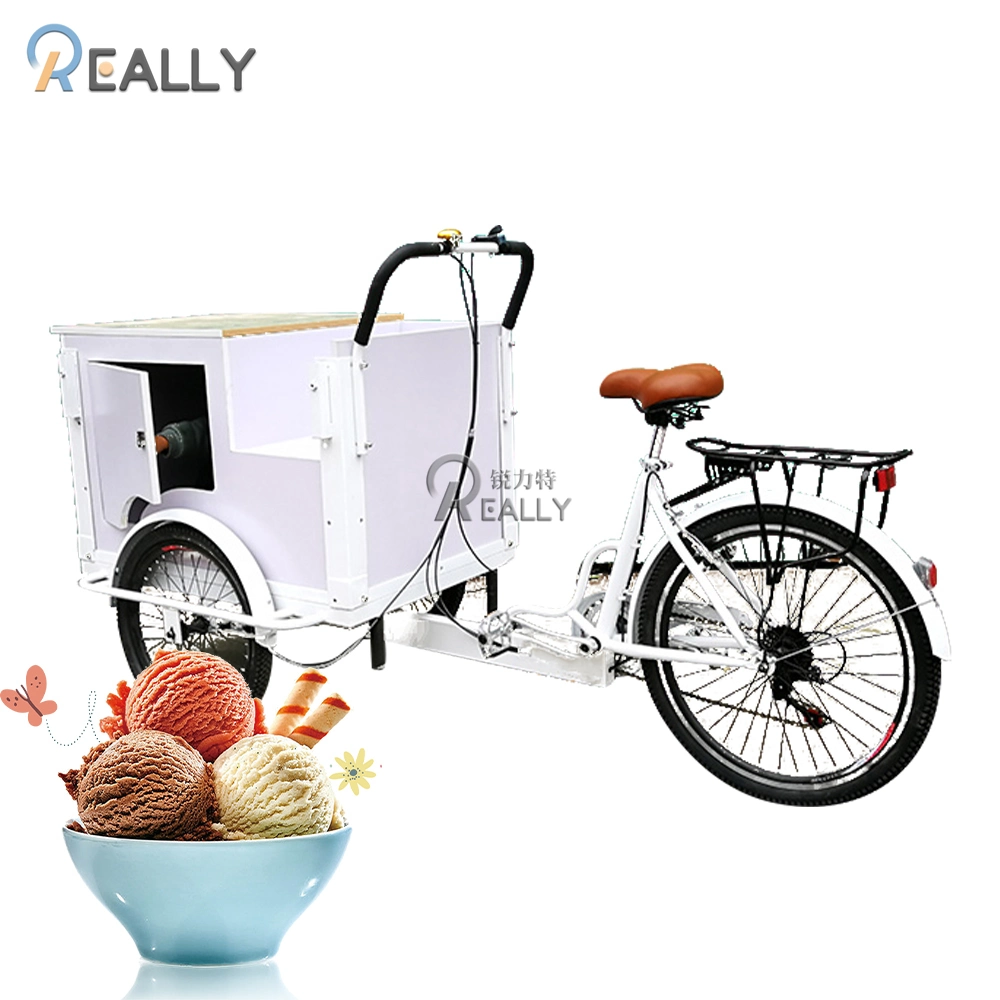 Front Load Ice Cream Cargo Bike Fashion Electric Adult Tricycle with High Quality Freezer for Sale Wholesale Family Street Food Cart for Sale