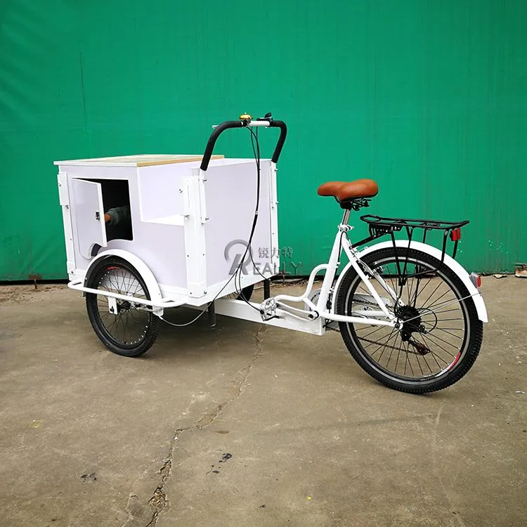 Front Load Ice Cream Cargo Bike Fashion Electric Adult Tricycle with High Quality Freezer for Sale Wholesale Family Street Food Cart for Sale