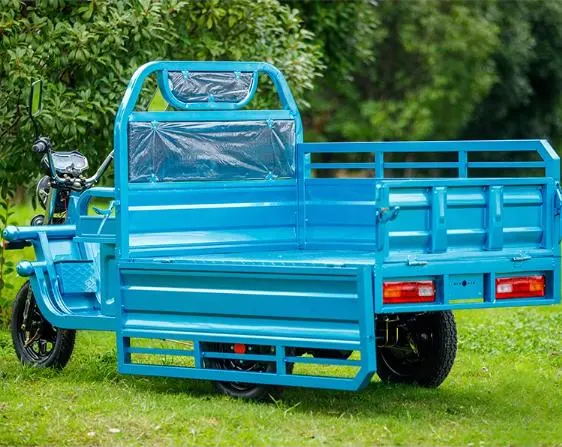 Low Speed Electric Tricycle for Agriculture with Open Carriage