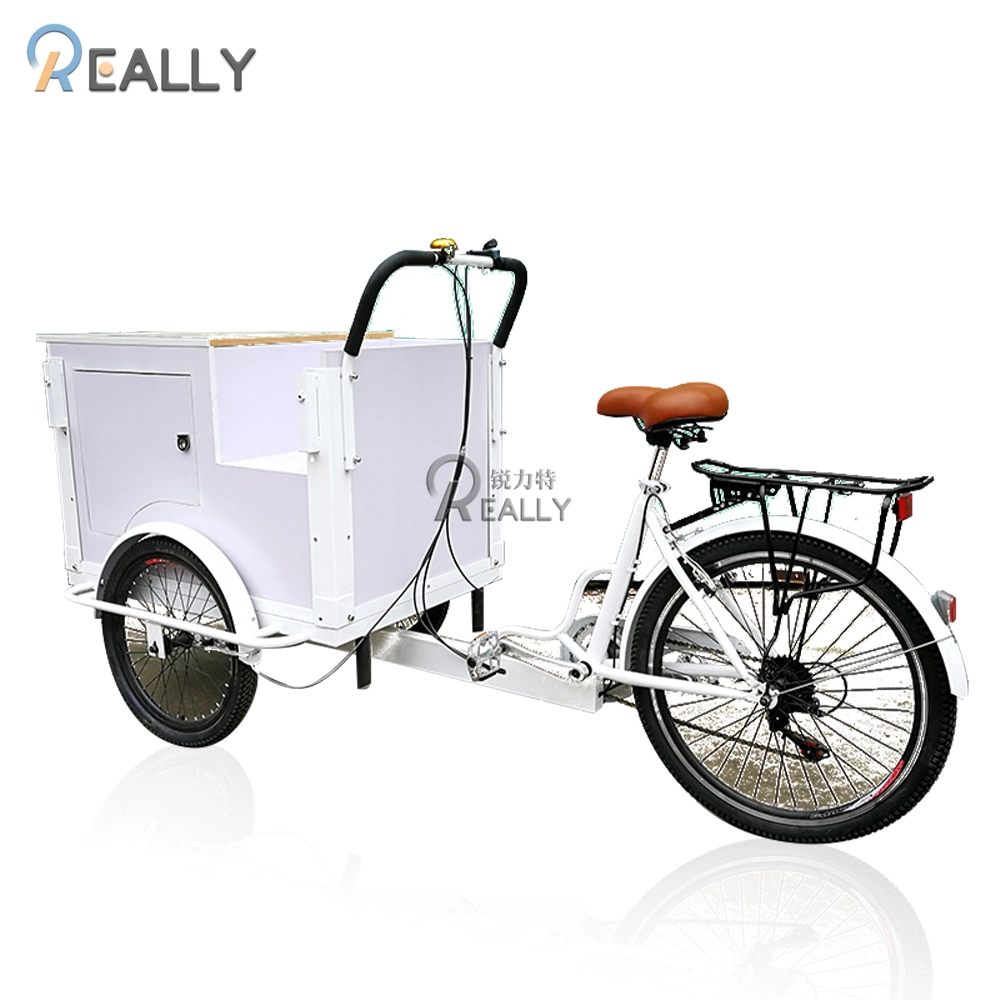 Front Load Ice Cream Cargo Bike Fashion Electric Adult Tricycle with High Quality Freezer for Sale Wholesale Family Street Food Cart for Sale