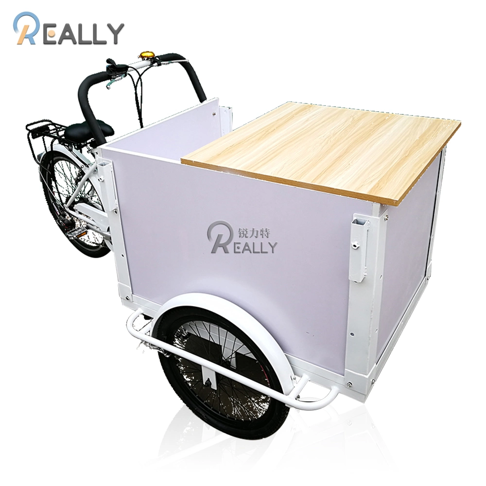 Front Load Ice Cream Cargo Bike Fashion Electric Adult Tricycle with High Quality Freezer for Sale Wholesale Family Street Food Cart for Sale