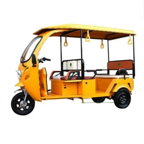 High Quality Cheap E-Trikes 3 Wheel Cargo Electric Tricycles Motorcycle Three Wheel Adult