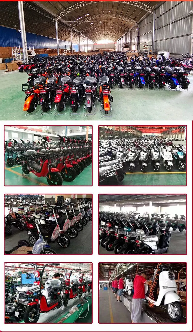 Electric Bike Citycoco Adult 60V Electric Tricycle 2000W Electric Tricycles Electric Three Wheel Tricycle Electric Bike