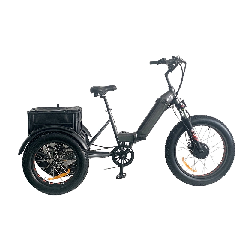 Bafang Motor for Passengers Fat Tire 4.0 Three Wheels Scooters 3 Wheel Passenger Adult 750W Electric Tricycles