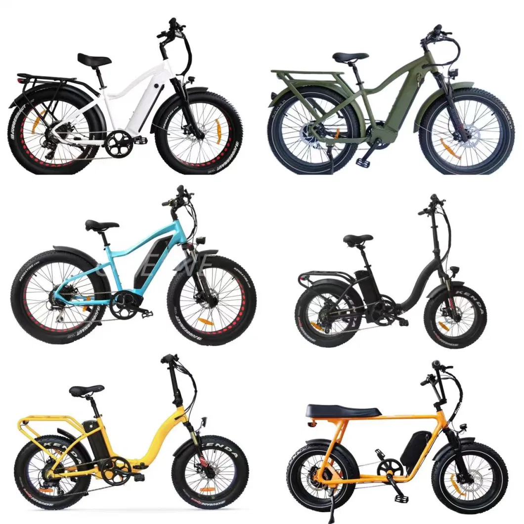 Wholesale 750W/500W 3 Wheel Cargo Chainless Electric Tricycle Fat Tire Electric Bike for Adults