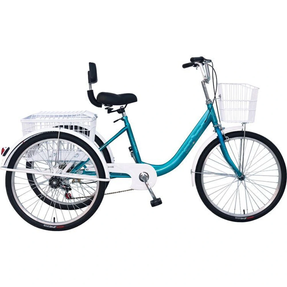 Front Basket Women Ebike Engine Adult Tricycle Ebay Equipment for Big and Disabled People