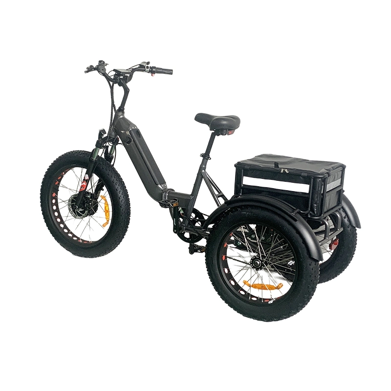 Bafang Motor for Passengers Fat Tire 4.0 Three Wheels Scooters 3 Wheel Passenger Adult 750W Electric Tricycles