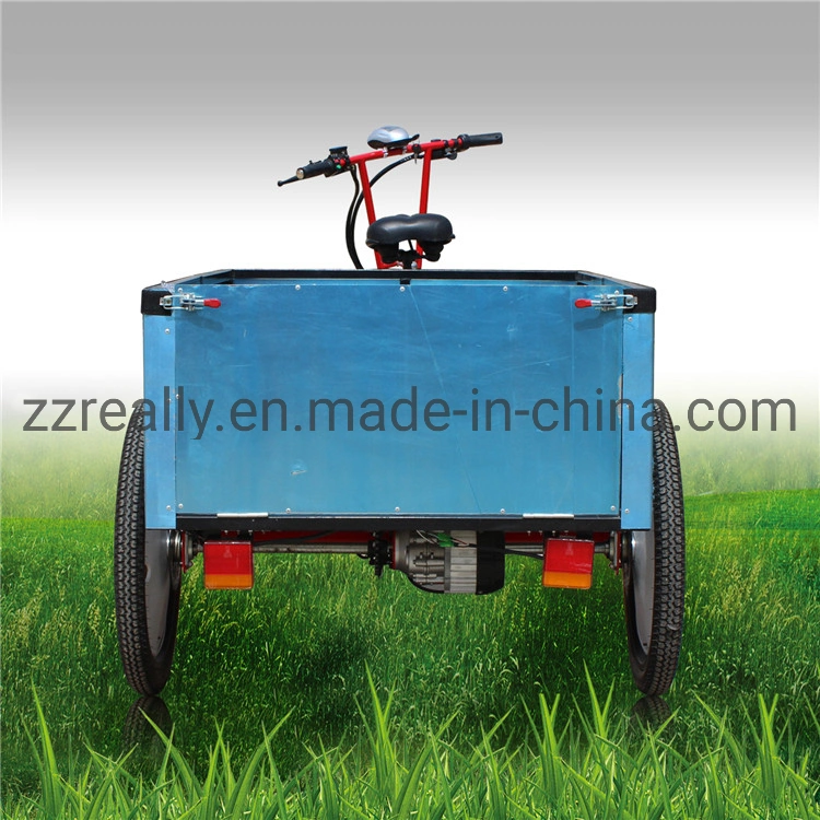 Three Wheels Electric Truck Food Trailer Cart Bike Bicycle for Sale