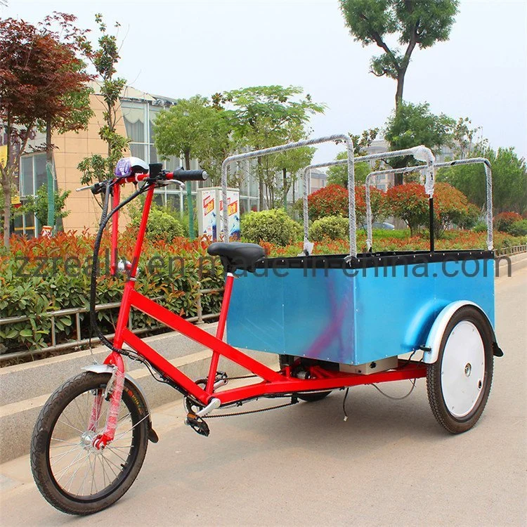 Three Wheels Electric Truck Food Trailer Cart Bike Bicycle for Sale