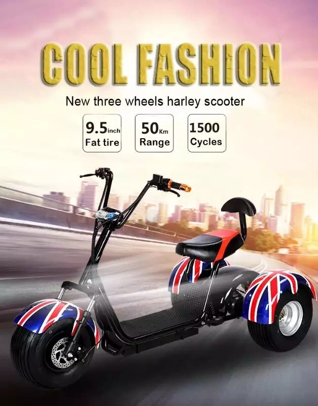 China Cheap 3 Wheel Bike Electric Fat Tyre Adult 1500W Citycoco Scooter Electric Tricycles