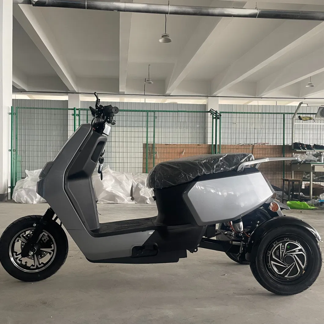 High Quality Low Speed Electric Tricycle with EEC and Lead-Acid Battery Three Wheel Electric Scooter 500W Electric Bike