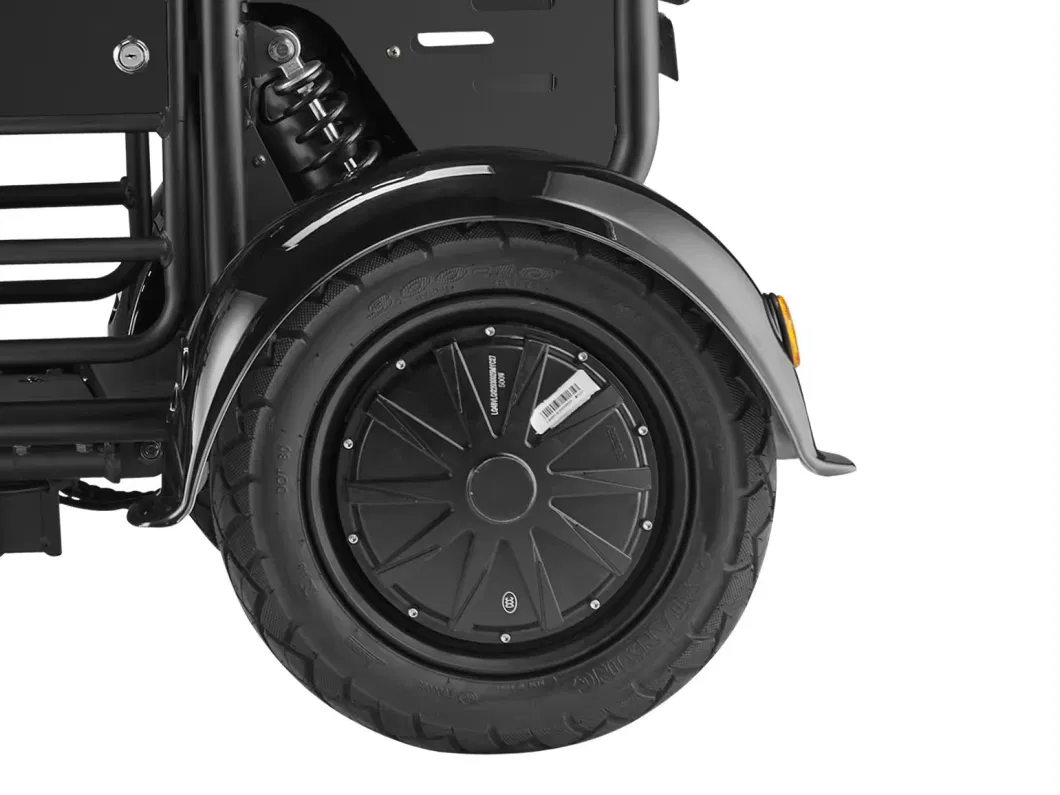 Lq1 Novel Design Fat Tire Three Wheel Adult Electric Scooter Tricycles with Back Seat