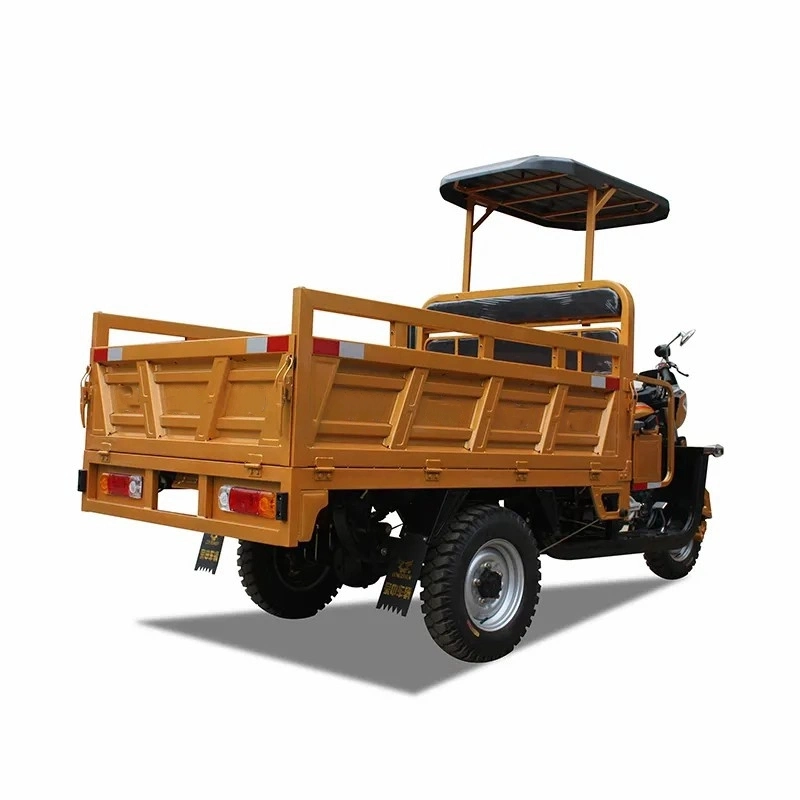 Factory Customization Cargo 3 Wheels Gasoline Cargo Big Triciclo Motorized Tricycle for Adult