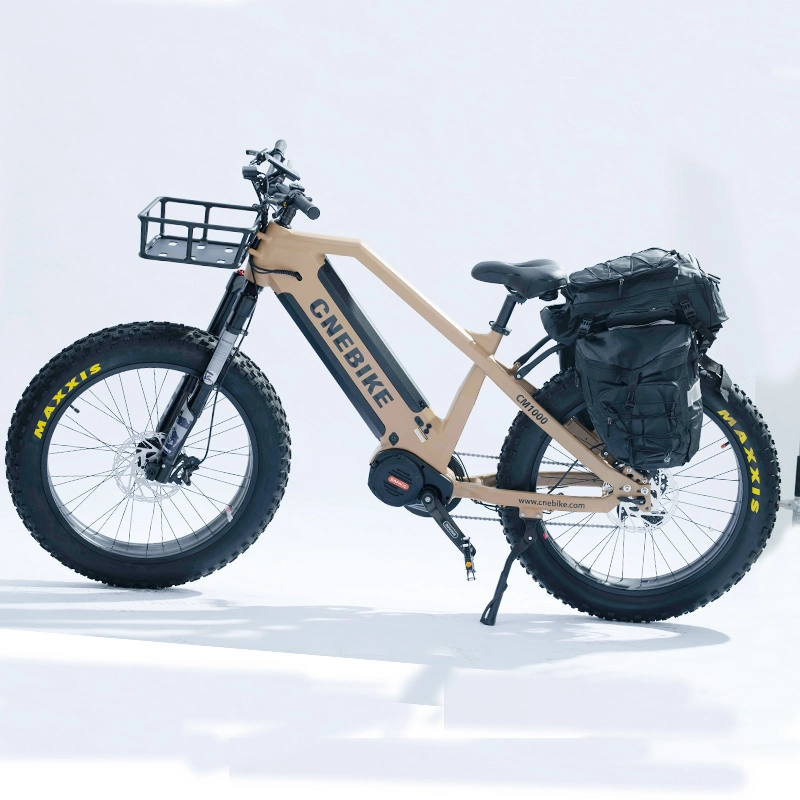 Chain Driving Electric Fat Tire Bike Double Battery E Bicycle Bafang M620 MID Drive System Ebike