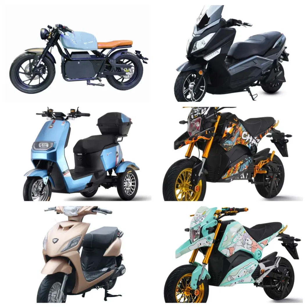 Factory Direct Sales of New Two Wheeled Electric Bicycles 350W Electric Bicycles Adult City Double Seater Electric Bicycles