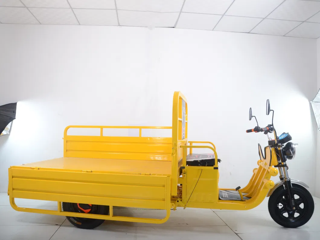 Cargo Delivery South Africa Tricycle Cargo Electric Motorized Tricycles for Adults