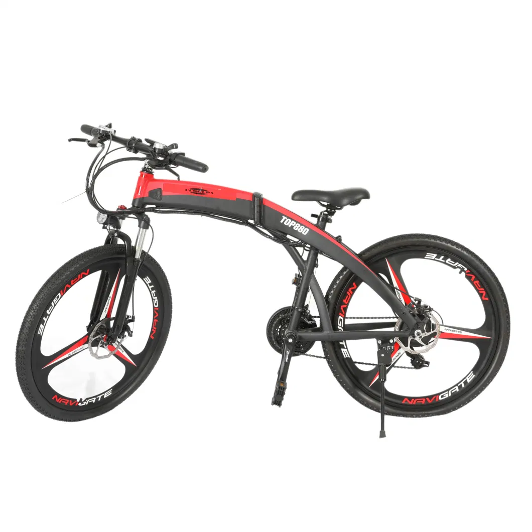 Electric Mountain Bike Bicycle Motrocycle E-Bike E-Bicycle Electric Tricycle System Duild in Detachable Battery 36V 250W Motor