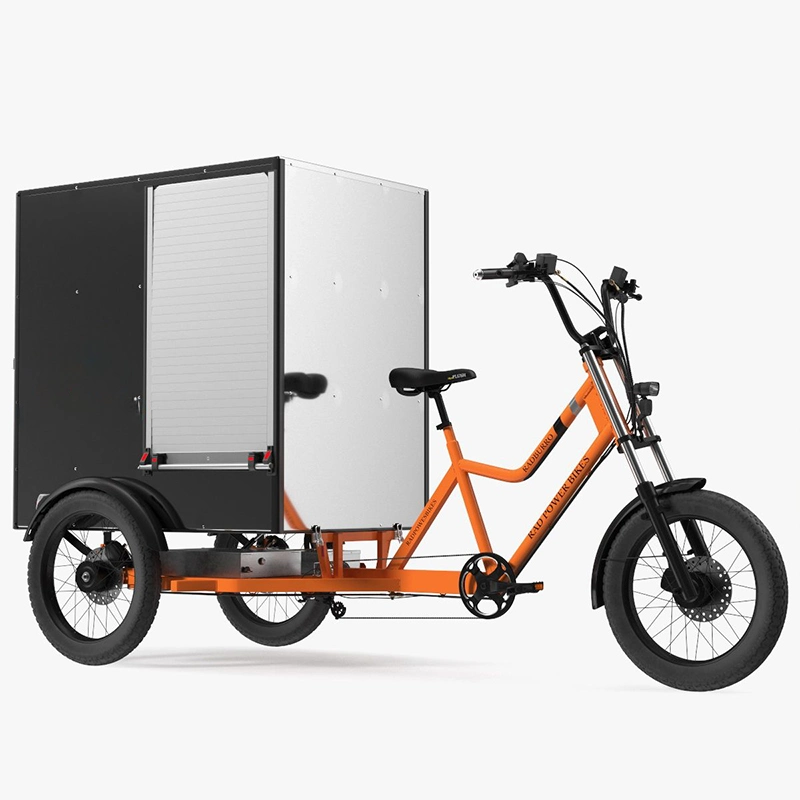 3 Wheel Electric Tricycle Three Wheels Adult Cargo Electric Bike Bicycle