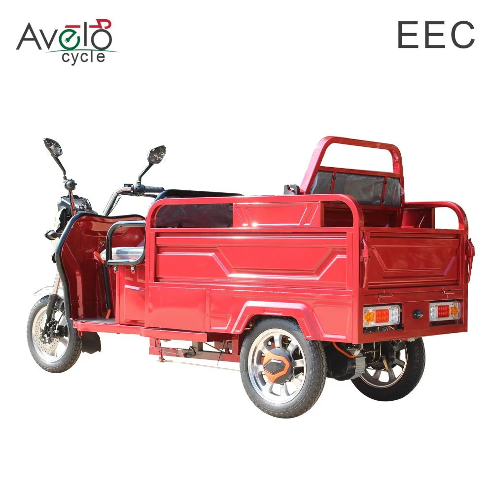 New Fat Tire Adult 3 Wheel Cargo 1200W 72V/32ah Lead-Acid Battery Electric Tricycle