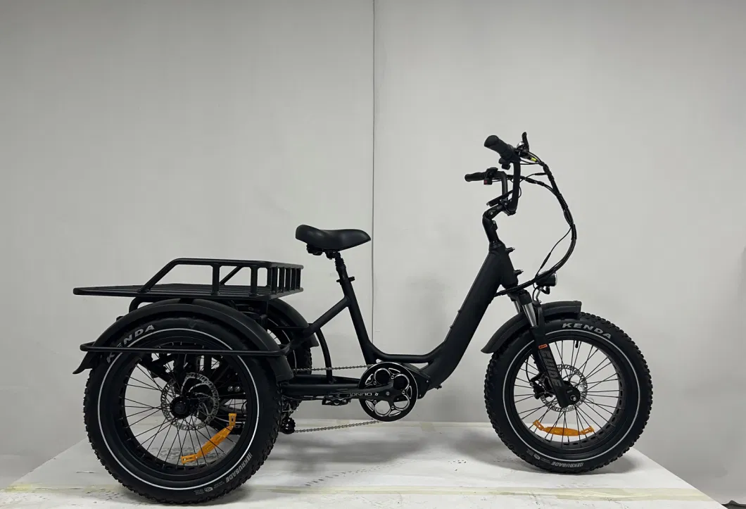 Dual Battery 48V40ah Fat Tire Electric Tricycle 3 Wheel Ebike