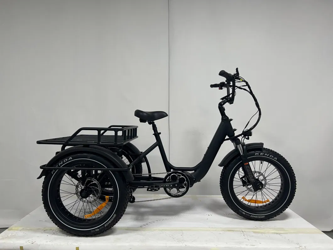 Dual Battery 48V40ah Fat Tire Electric Tricycle 3 Wheel Ebike