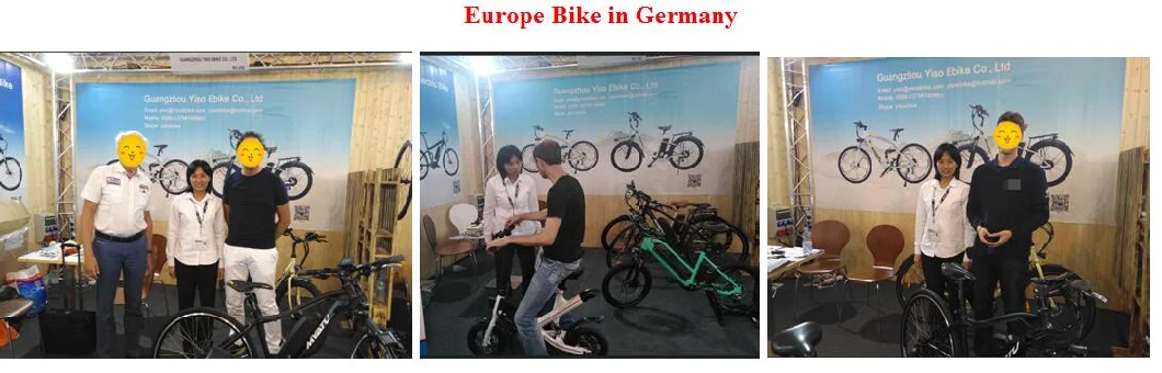 New Arrival Two Wheeled 48V 250W Steel Frame Electric Bicycle for Italy with 500W Brushless