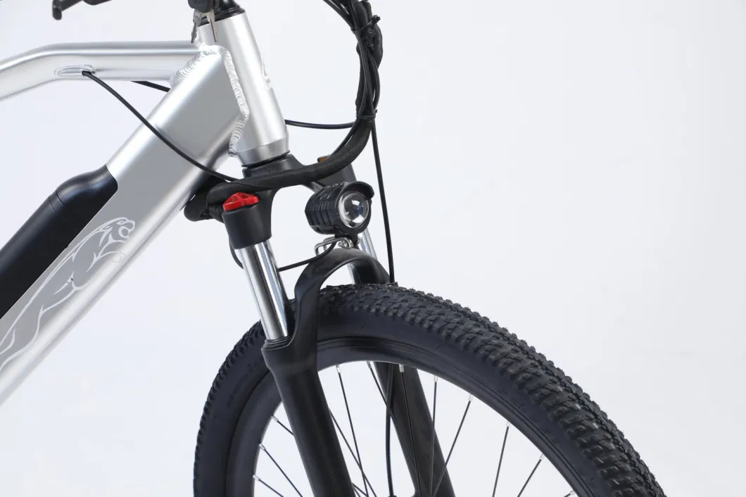 The New 3 Wheel Electric Bicycle 26 Inch Other Electric Fat Tire Bicycles Are Used to Carry Goods Adults and Electric Ebike