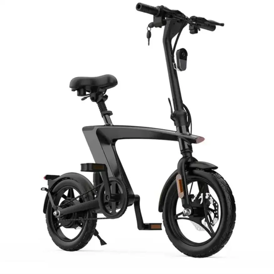 Electric Bike Bicycle Dual Motor Electric Scooter Easy Folding Electric Tricycle