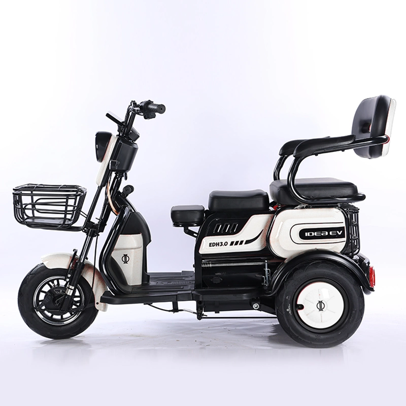 Best Price Adult Electric Tricycle for Sale