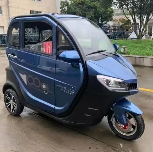 Electric Tricycle with Passenger Seat