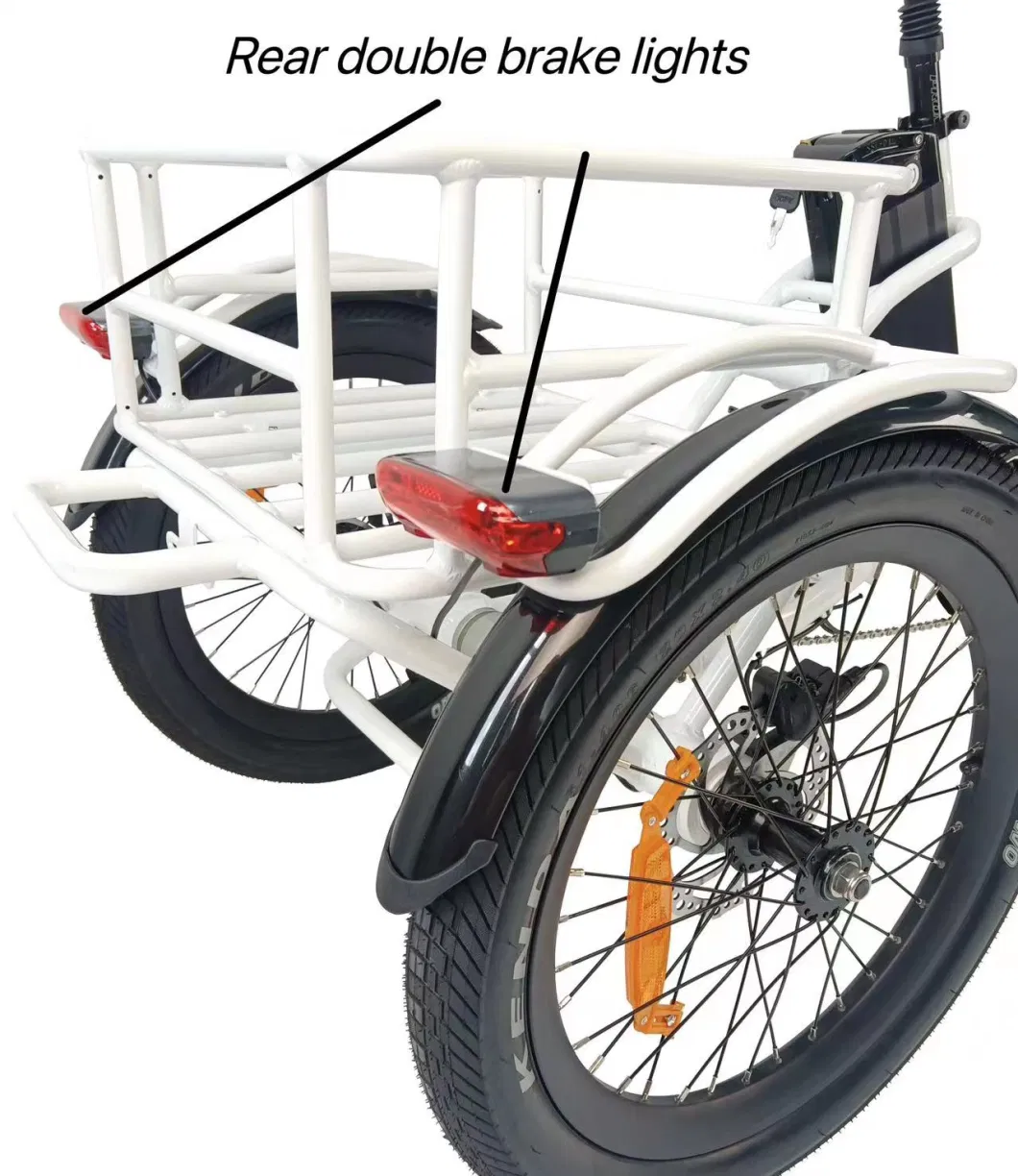 Queene High Quality 500W Electric Tricycle 3 Wheel Cargo Electric Bicycle for Adults