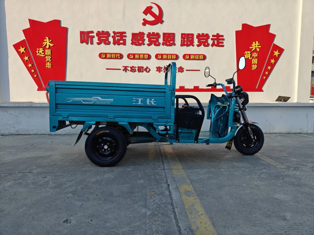 Electric Cargo Tricycle 60V 1200W /Pedicab /Best Selling Electric Tricycle