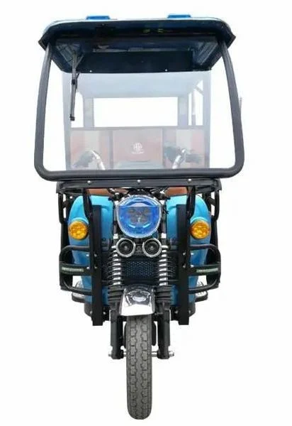 High Quality Cheap E-Trikes 3 Wheel Cargo Electric Tricycles Motorcycle Three Wheel Adult