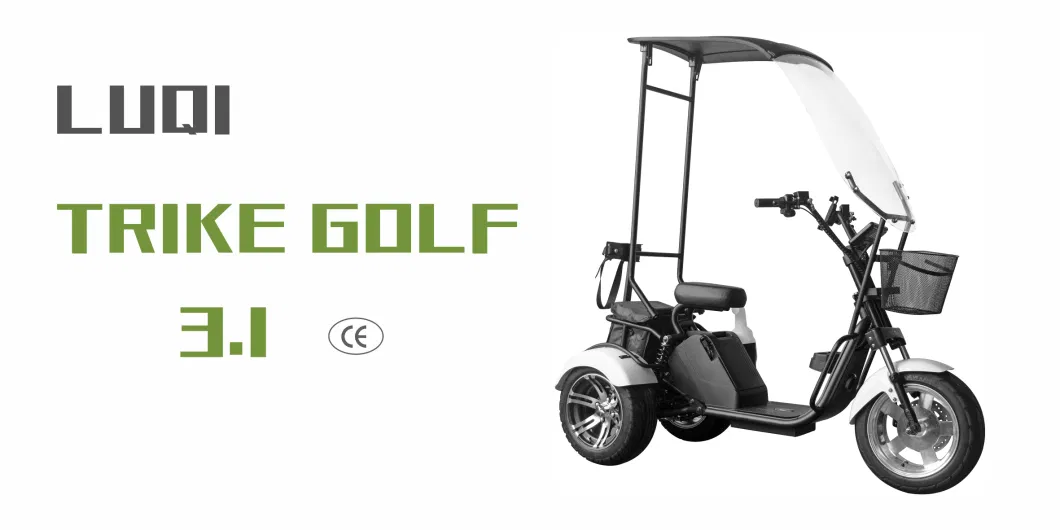 Hot Sale Fat Tire Removable Battery 25km/H 1000W Electric Golf Tricycle for Adults