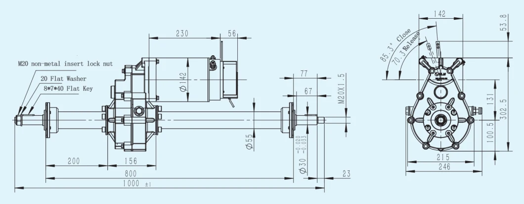 2200W 36V 5000rpm 57: 1 12nm 1000mm Electric Rear Axle Motor Kit Transaxle for Farm Tricycle Dumper