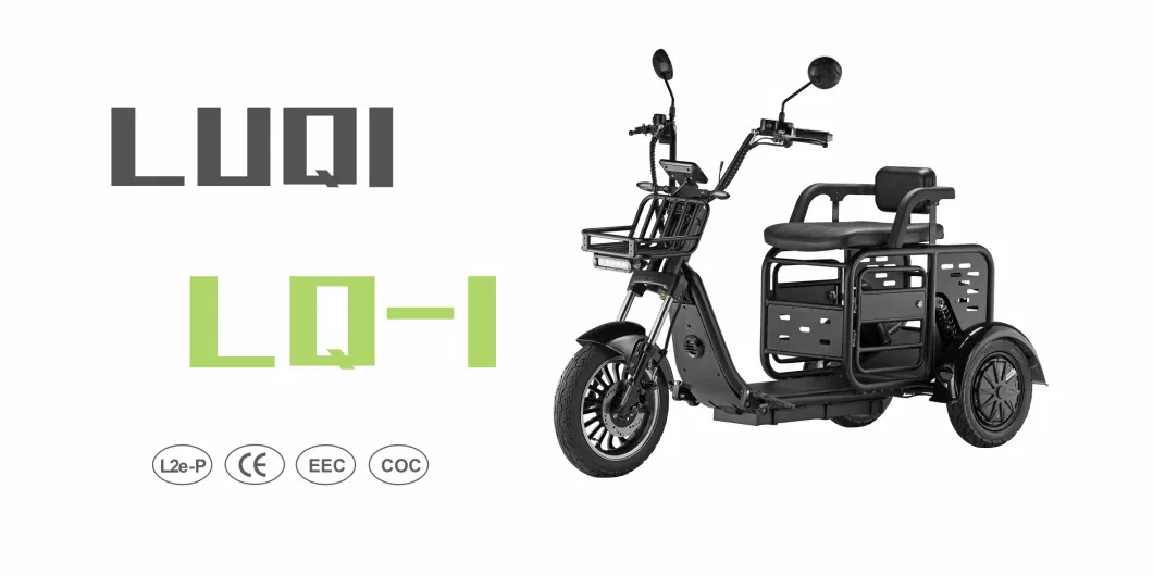 Luqi Rechargeable Fat Tire Coc 1000W Triciclo Electrico Adulto Electric Tricycles