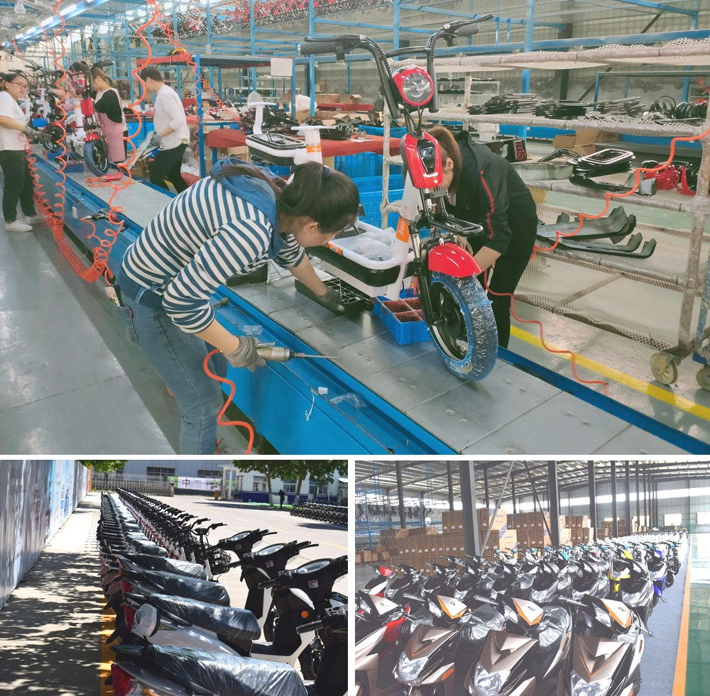 Electric Mobility Wheel Scooter Tricycle China Supplier