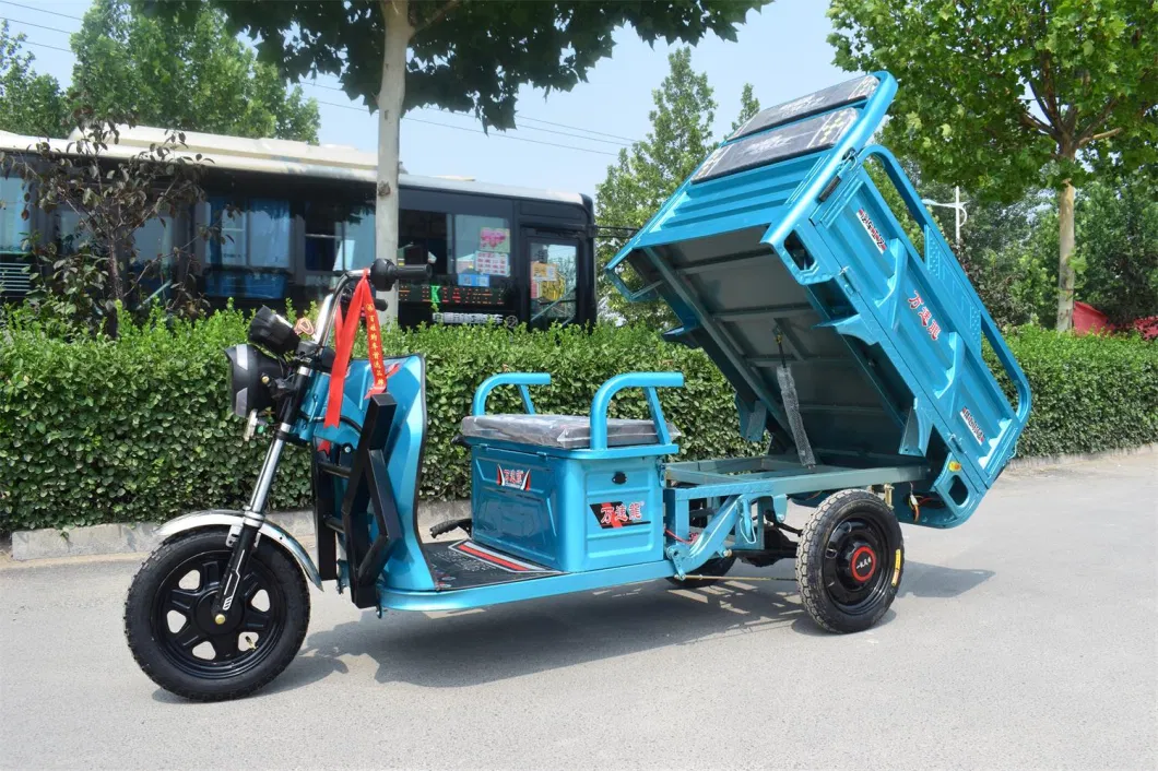 650W 500W Differiential Motor 3 Wheel Trike CE with for Adult Passenger and Cargo Carry Electric Tricycle