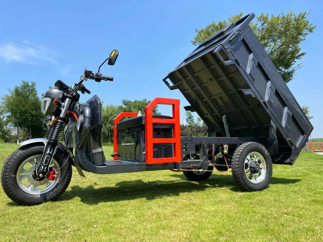 Adult Motorized Cargo Electric Bicycle Three Wheel Electric Scooters Bike Electric Tricycle